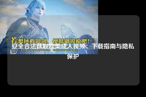 安全合法获取欧美成人视频：下载指南与隐私保护