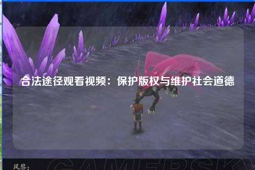 合法途径观看视频：保护版权与维护社会道德